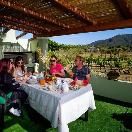 הוילה קרדדו Casa Museddu מראה חיצוני תמונה