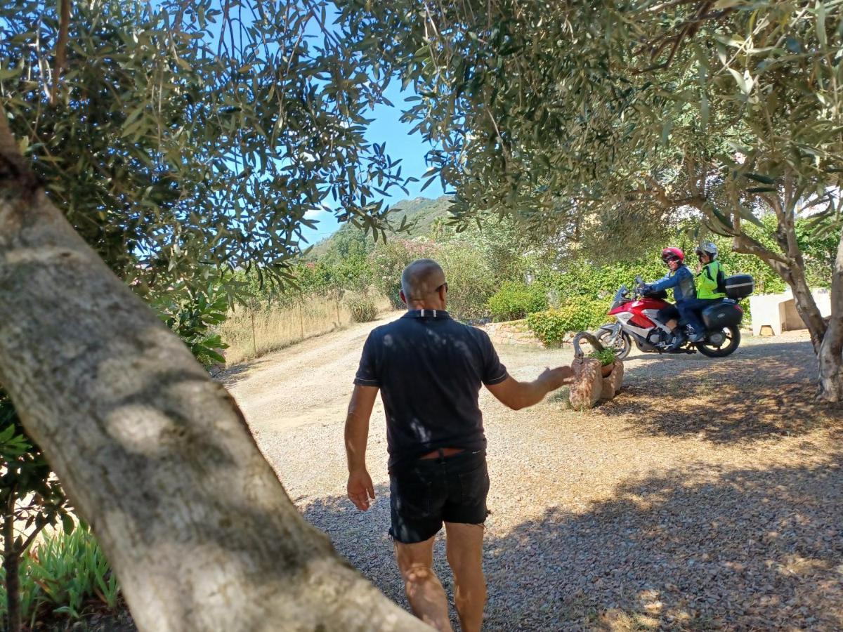 הוילה קרדדו Casa Museddu מראה חיצוני תמונה